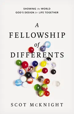 a fellowship of differents book cover image