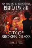 A City of Broken Glass synopsis, comments