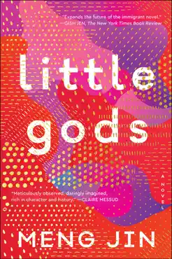little gods book cover image