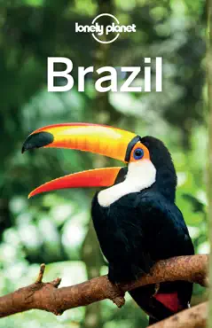 brazil 12 imagen de la portada del libro
