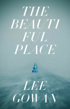 the beautiful place book cover image
