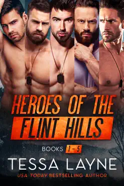 heroes of the flint hills book cover image