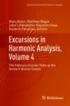Excursions in Harmonic Analysis, Volume 4 synopsis, comments