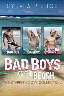 bad boys on the beach book cover image