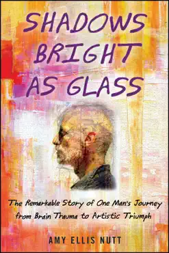 shadows bright as glass book cover image