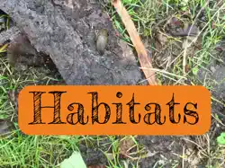habitats book cover image