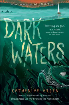 dark waters book cover image