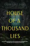 House of a Thousand Lies synopsis, comments