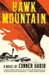 Hawk Mountain: A Novel e-book