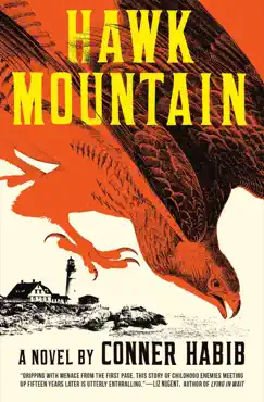 hawk mountain: a novel book cover image