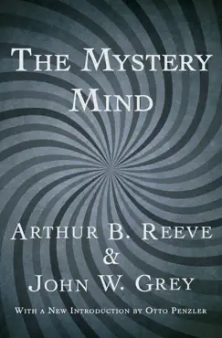 the mystery mind book cover image