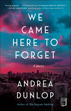 we came here to forget book cover image