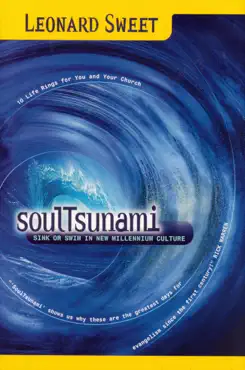 soultsunami book cover image