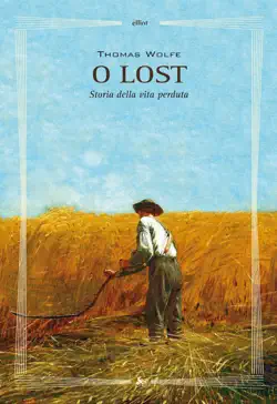 o lost book cover image