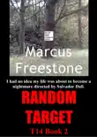 Random Target synopsis, comments