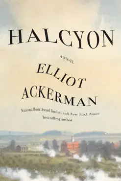 halcyon book cover image