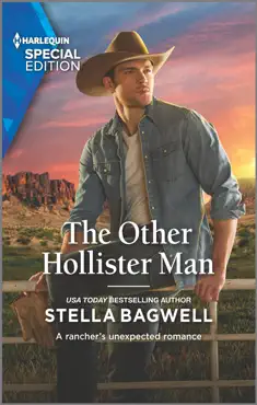 the other hollister man book cover image