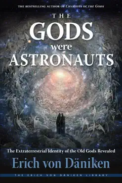 the gods were astronauts book cover image