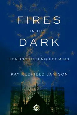 fires in the dark book cover image