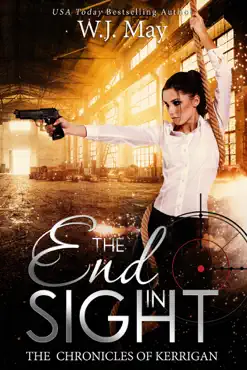 end in sight book cover image