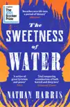 The Sweetness of Water sinopsis y comentarios