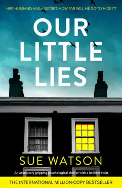 our little lies book cover image
