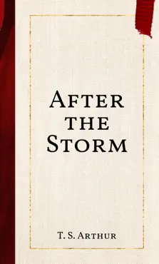 after the storm imagen de la portada del libro