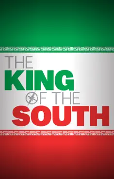 the king of the south book cover image