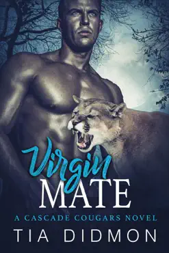 virgin mate book cover image