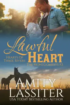 lawful heart book cover image