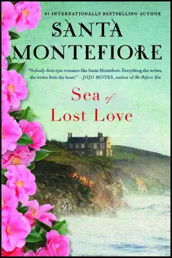 sea of lost love book cover image