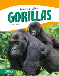 gorillas book cover image