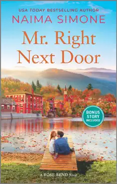 mr. right next door book cover image