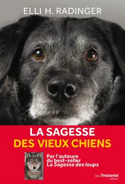 la sagesse des vieux chiens book cover image