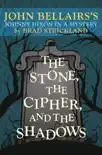 The Stone, the Cipher, and the Shadows synopsis, comments