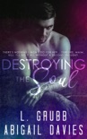 Destroying the Soul book summary, reviews and downlod