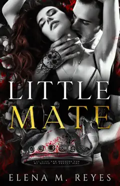 little mate book cover image