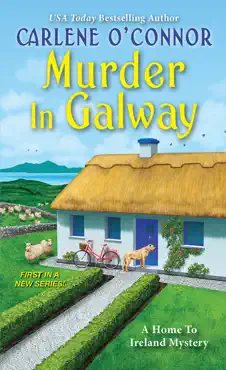 murder in galway book cover image