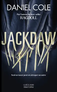 jackdaw book cover image