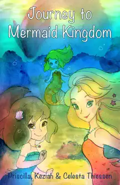 journey to mermaid kingdom book cover image