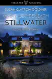 What Lies Beneath Stillwater synopsis, comments