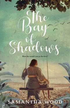 the bay of shadows book cover image