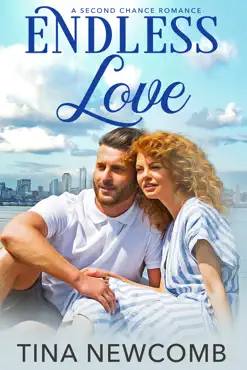 endless love book cover image
