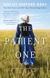 The Patient One synopsis, comments