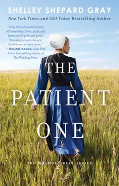 the patient one book cover image