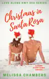 Christmas in Santa Rosa synopsis, comments