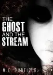 The Ghost and the Stream synopsis, comments