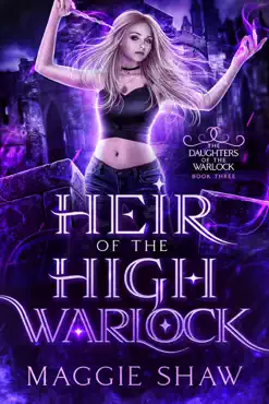 heir of the high warlock book cover image