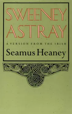 sweeney astray book cover image