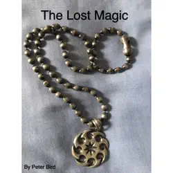 the lost magic book cover image